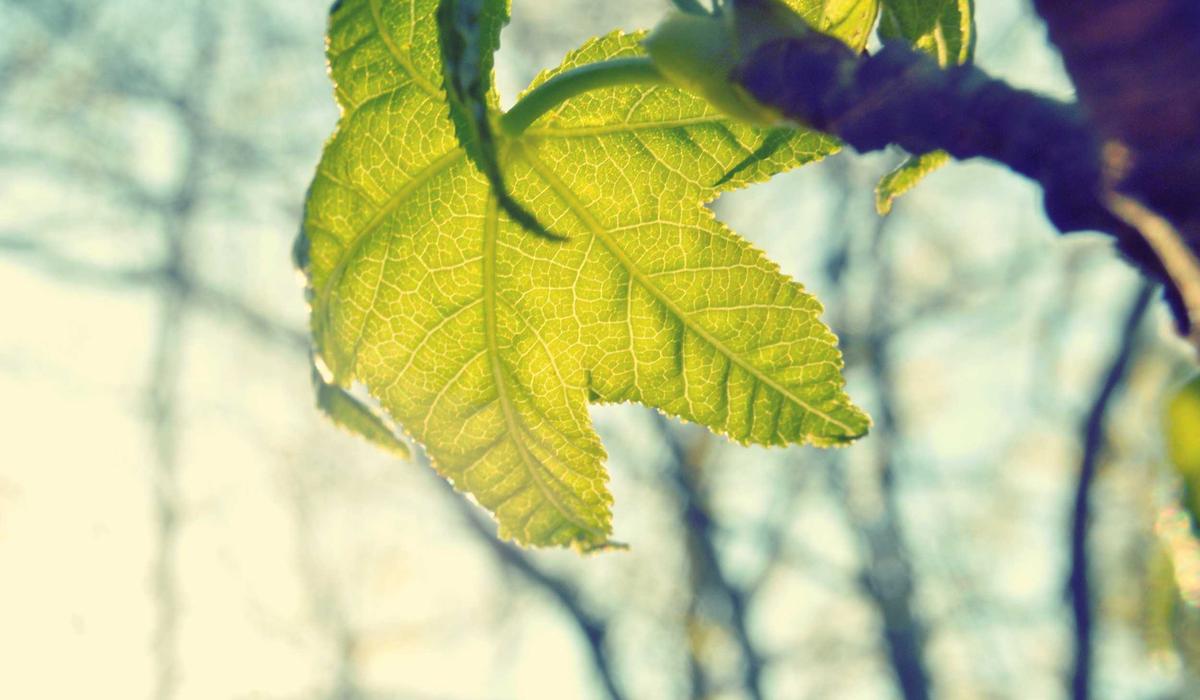 How to think clearly about planning a seasonal update